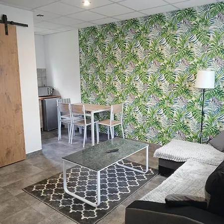 Domki - Apartamenty Complex Zator Zewnętrze zdjęcie