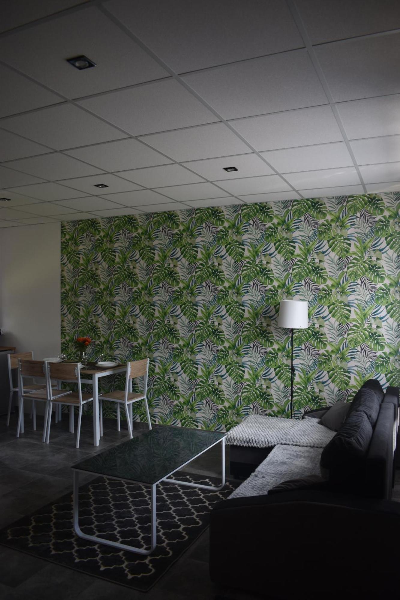 - Complex Apartment Zator